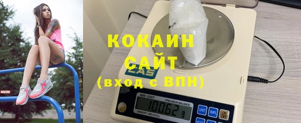 молекула духа Алексин
