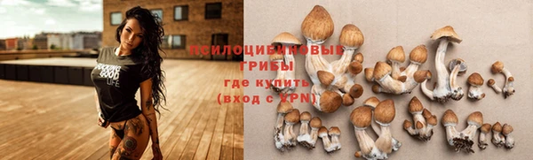 дистиллят марихуана Пересвет