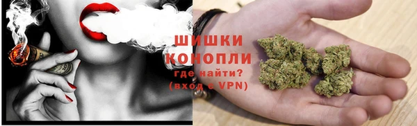 ПСИЛОЦИБИНОВЫЕ ГРИБЫ Алзамай