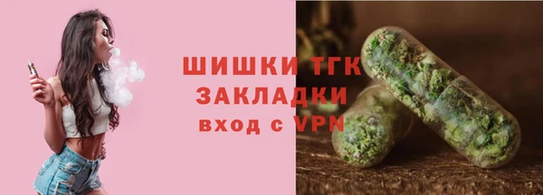 ПСИЛОЦИБИНОВЫЕ ГРИБЫ Алзамай