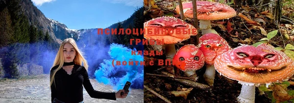 ПСИЛОЦИБИНОВЫЕ ГРИБЫ Алзамай