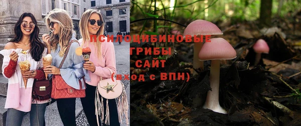 ПСИЛОЦИБИНОВЫЕ ГРИБЫ Алзамай